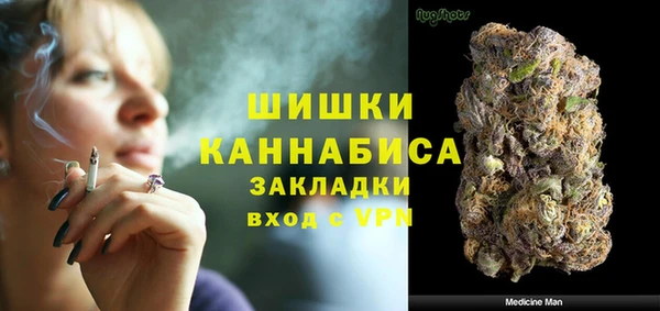 гашик Белокуриха