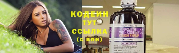 гашик Белокуриха