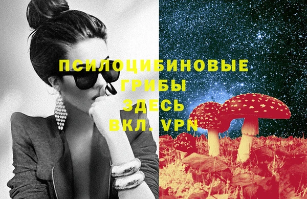 гашик Белокуриха