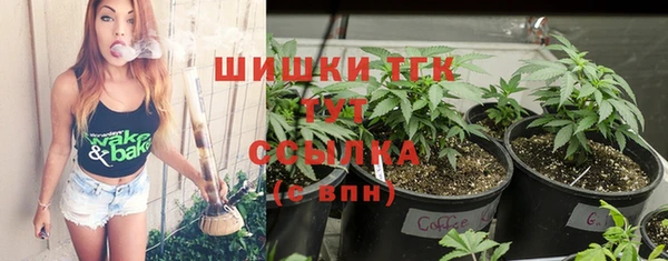 гашик Белокуриха