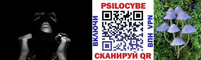 мега ссылка  Нерчинск  Псилоцибиновые грибы GOLDEN TEACHER 